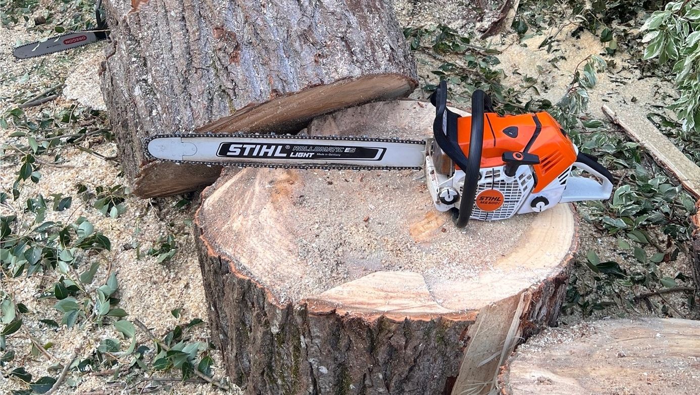 Motorsag og stubbe stykket opp 